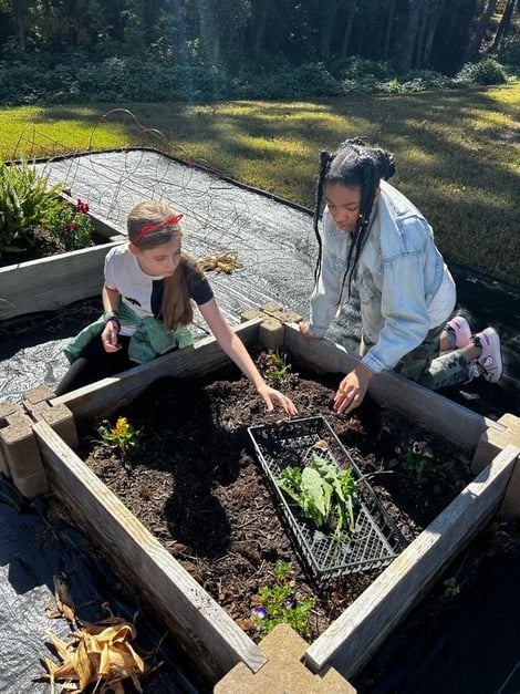 Middle School Gardening